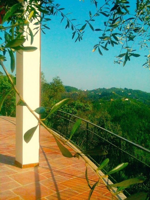 Agriturismo Oliva Azzurra Villa Valeriano Lunense Buitenkant foto