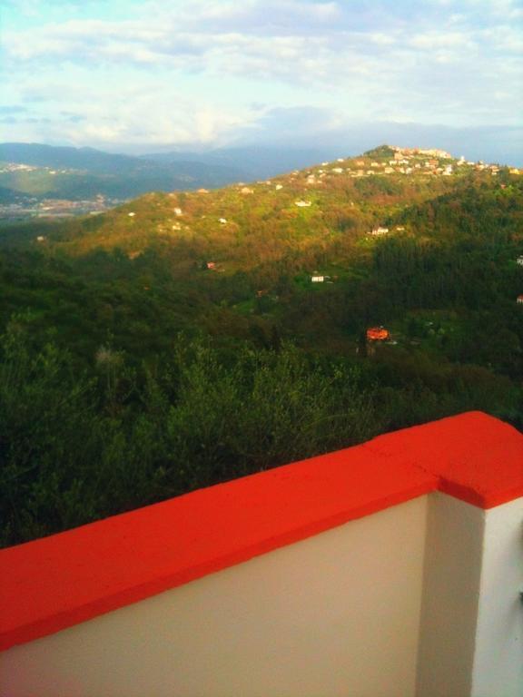 Agriturismo Oliva Azzurra Villa Valeriano Lunense Buitenkant foto