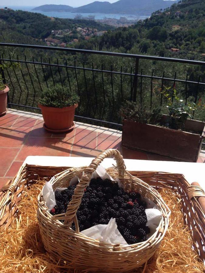 Agriturismo Oliva Azzurra Villa Valeriano Lunense Buitenkant foto